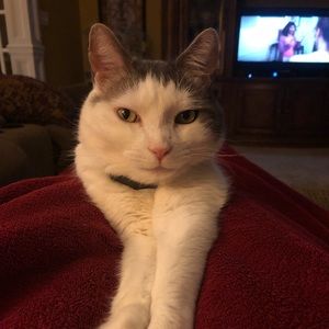 Meet your Posher, Jill